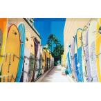 キャンバスパネル絵約55ｘ35ｘ1...