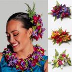 ハワイアンミニシンビファーンヘアク...