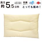 ショッピング枕 低い枕 低め 約５.５cm 洗える枕 43×63cm 日本製 綿100％ 薄型 テイジン フィルケアＥＣＯ すごく低い 超低め ストレートネック