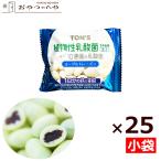 ヨーグルトレーズン 225g（9g×25袋） メール便（代引不可） 小分け 小袋 個包装