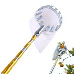 ショッピング果物 フルーツピッカー 果物取り 高枝取り 伸縮式 果樹用フルーツピッカー 果物収穫 高枝用 ポールとバスケット付きフルーツピッカー ステンレススチール延長ポール