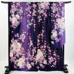 振袖 身丈168.5cm 裄丈68cm L 袷 桜 牡丹 銀通し 金銀彩 紫 正絹 美品 逸品 中古