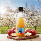 ... sake яблоко ликер 8th Oceane стул Ocean pili яблоко глубокий река likyurulabo craft ликер .. sake 300ml