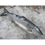 [. украшение ] соль час ...3.0kg передний и задний (до и после) (1 подлинный товар )