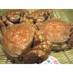 海産問屋　カネニの画像3
