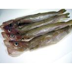  море производство оптовый склад kaneni koma i. соленое и высушенное в течение ночи 5 шт 