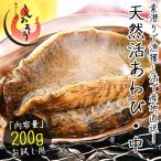 【同梱不可】 活アワビ アワビ 活 あわび 中サイズ 約200g（約200g×1枚） 天然 国産 福井県産 鮑