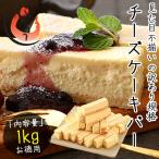 ショッピングチーズケーキ チーズケーキ 訳あり バー スティック 1kg 500g×2箱 取り寄せ チーズケーキバー 取り寄せ 訳ありスイーツ 甘いもの スティックケーキ 母の日 ギフト 父の日