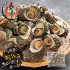  Sazae ... Boyle . сырой также можно выбрать примерно 1kg Boyle сырой ( нагревание для ) BBQ.. Boyle Sazae местного производства ... морепродукты гурман подарок здоровье ребенок подарок . покупка 