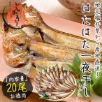 干物 はたはた ハタハタ 一夜干し 20尾 約520g ハタハタ丸干し 干物セット 詰め合わせ 爆買