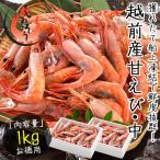 甘エビ 甘えび 子持ち 1kg（500g×2箱）約80尾入り 刺身用 越前産 甘えび 海老 えび エビ 贈り物 お祝い プレゼント ギフト