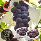 .. виноград 2.( примерно 1kg) вид нет Yamanashi префектура производство ( надеты день указание не возможно ) подарок по случаю конца года 