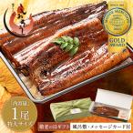 【敬老の日ギフトセット】 うなぎ 蒲焼き 国産 無頭 特大サイズ 約200g×1尾 化粧箱 ウナギ 鰻 うなぎ蒲焼 ギフト 敬老の日 爆買