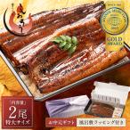【お中元ギフトセット】うなぎ 蒲焼き 国産 無頭 特大サイズ 約200g×2尾 ウナギ 鰻 化粧箱 うなぎ蒲焼 贈り物 グルメ お中元 お中元 土用の丑の日
