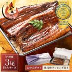 【お中元ギフトセット】うなぎ 蒲焼き 国産 無頭 特大サイズ 約200g×3尾 ウナギ 鰻 化粧箱 うなぎ蒲焼 贈り物 母の日 父の日