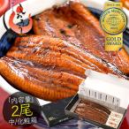 ショッピングうなぎ 蒲焼き 国内産 送料無料 うなぎ 蒲焼き 国産 無頭 中サイズ 142g前後×2尾 ウナギ 鰻 化粧箱 うなぎ蒲焼 贈り物 母の日 ギフト 父の日