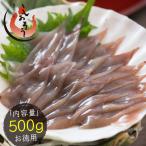 ホタルイカ 生食用 ほたるいか 500g 