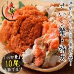 seikogani......... очень большой размер ×10 хвост Fukui Echizen сосна лист ( надеты день указание не возможно ). покупка подарок на Bon Festival . средний изначальный 