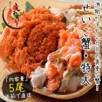 seikogani......... очень большой размер ×5 хвост Fukui Echizen сосна лист ( надеты день указание не возможно ). покупка подарок на Bon Festival . средний изначальный 