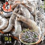  ангел. море .1kg ( примерно 20~30 хвост ввод ).. креветка море .