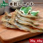 北海道産 本乾ししゃも おつまみ 珍