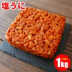 塩うに 汐うに しおうに 無添加 たっぷり 1kg 業務用 硬め 送料無料 高級珍味 板うに ウニ 雲丹 粒うに バフンウニ お取り寄せ 塩漬け パスタ クール便
