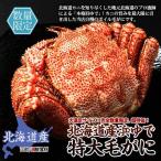  Hokkaido производство Boyle шерсть ..450g / Hokkaido краб ... стандартный товар ограниченное количество 