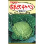 株式会社トーホク 四季どりキャベツ 味星 03961