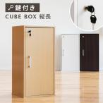 キューブボックス 縦長 鍵付き CUBE BOX カギ付き 鍵付きボックス 縦型 扉付き 書庫 収納ボックス 収納家具 キャビネット カラーボックス 木製 本棚 ロッカー