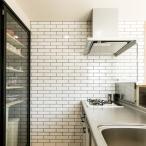 TChicsosilas(SO-) 2 шт . flat 227mm×60mm 100 листов / кейс SWANTILE