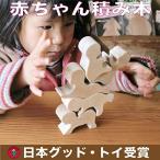 赤ちゃん積み木 (まるで赤ちゃんと遊んでいるような可愛い積み木おもちゃ) おしゃぶりにも・・・日本グッドトイ受賞 日本製