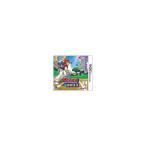[ бесплатная доставка ][ б/у ]3DS Professional Baseball fa ошибка ta2011