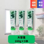 ショッピングホワイトニング デンティス 歯磨き粉 160g×3本 口臭予防 ホワイトニング オーラルケア ハミガキ粉 プレミアム お得用 大容量 目覚めてすぐキスできる 恋するハミガキ DENTISTE