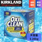 オキシクリーン 5.26kg 計量スプーン付き コストコ 送料無料 大容量 除菌も出来る 11.6LB 洗剤クリーナー