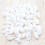 Yahoo! Yahoo!ショッピング(ヤフー ショッピング)カイコガイ 貝殻 シェル ブライダル　ウェルカムボード　フォトフレーム　パーツ　50g