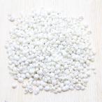 Yahoo! Yahoo!ショッピング(ヤフー ショッピング)貝殻（モンゴス　ホワイト）ブライダル　ウェルカムボード　フォトフレーム　パーツ　50g