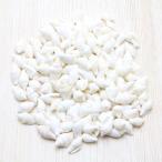 Yahoo! Yahoo!ショッピング(ヤフー ショッピング)貝殻（ナサシェル　ホワイト）ブライダル　ウェルカムボード　フォトフレーム　パーツ　50g