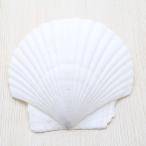Yahoo! Yahoo!ショッピング(ヤフー ショッピング)ホタテガイ　貝殻　ブライダル　ウェルカムボード　フォトフレーム　パーツ 約10〜12cm