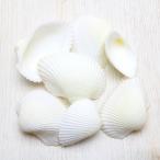 Yahoo! Yahoo!ショッピング(ヤフー ショッピング)サルボウガイ（フネガイ科）　貝殻　約2〜5ｃｍ　ブライダル　ウェルカムボード　フォトフレーム　パーツ　約50g