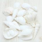 Yahoo! Yahoo!ショッピング(ヤフー ショッピング)ホワイトミックスシェル　貝殻　セット　ブライダル　ウェルカムボード　フォトフレーム　シェルパーツ　詰め合わせ100g