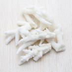 Yahoo! Yahoo!ショッピング(ヤフー ショッピング)サンゴのかけらS　ブライダル　ウェルカムボード　フォトフレーム　シェルパーツ　貝殻　30g