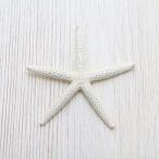 Yahoo! Yahoo!ショッピング(ヤフー ショッピング)アオヒトデSS（スターフィッシュ）ブライダル　ウェルカムボード　パーツ　貝殻　約3〜5cm