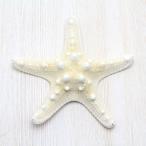 Yahoo! Yahoo!ショッピング(ヤフー ショッピング)コブヒトデL（スターフィッシュ）ブライダル　ウェルカムボード　パーツ　貝殻　約12〜14cm