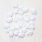 Yahoo! Yahoo!ショッピング(ヤフー ショッピング)貝殻（トミガイ）ブライダル　ウェルカムボード　フォトフレーム　パーツ　50g