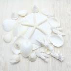 貝殻 ホワイトウェディングシェル 詰め合わせセット 約50~80g パーツ クラフト素材  インテリア 天然 ウェルカムボード フォトフレーム