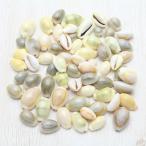 貝殻 タカラガイ（宝貝）ミックス 約50g  クラフト素材 ハンドメイド 工作 セット 天然 パーツ インテリア ウェルカムボード フォトフレーム