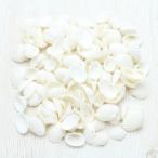 Yahoo! Yahoo!ショッピング(ヤフー ショッピング)ハイガイ S 貝殻 ブライダル ウェルカムボード フォトフレーム パーツ 50g