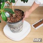 tidy プランタブル 植木鉢トレー 観葉植物 ティディ tidy テラモト グリーン 植物植物 キャスター付