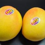 オーストラリア産ピーチマンゴー　２個入り　　真冬に味わえる輸入マンゴーの最高級品ピーチマンゴー！　お歳暮　ギフト　発送：１２月上旬〜