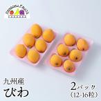  Kyushu production loquat 2 pack (12-16 bead )( Father's day gift . festival . present )